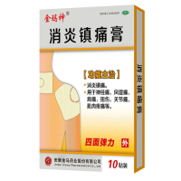 消炎鎮(zhèn)痛膏（控銷精品）